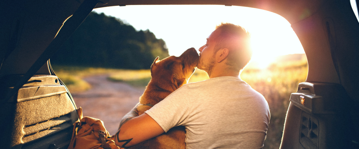 5 Lessons We Can Learn From Dogs