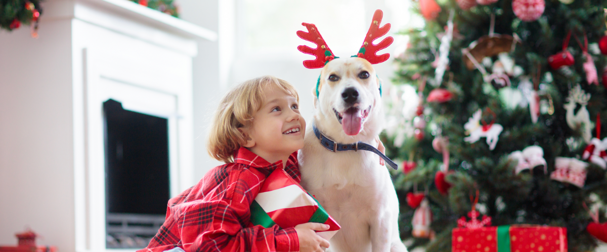 6 Gift Ideas for Your Favorite Dog Lover